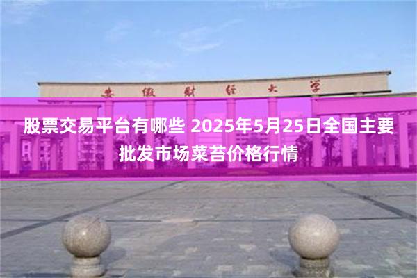 股票交易平台有哪些 2025年5月25日全国主要批发市场菜苔价格行情
