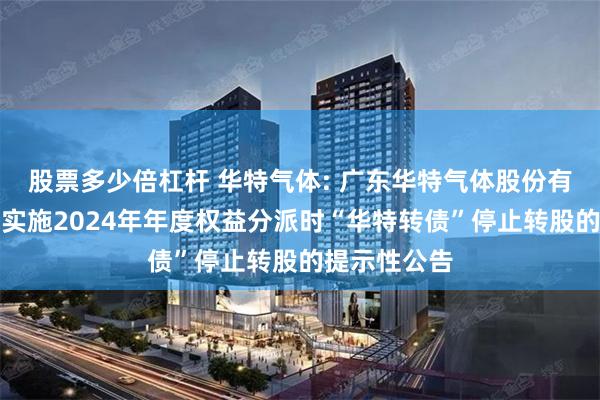 股票多少倍杠杆 华特气体: 广东华特气体股份有限公司关于实施2024年年度权益分派时“华特转债”停止转股的提示性公告