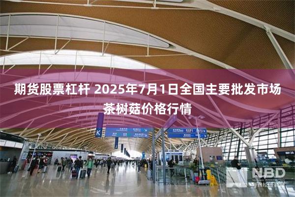 期货股票杠杆 2025年7月1日全国主要批发市场茶树菇价格行情